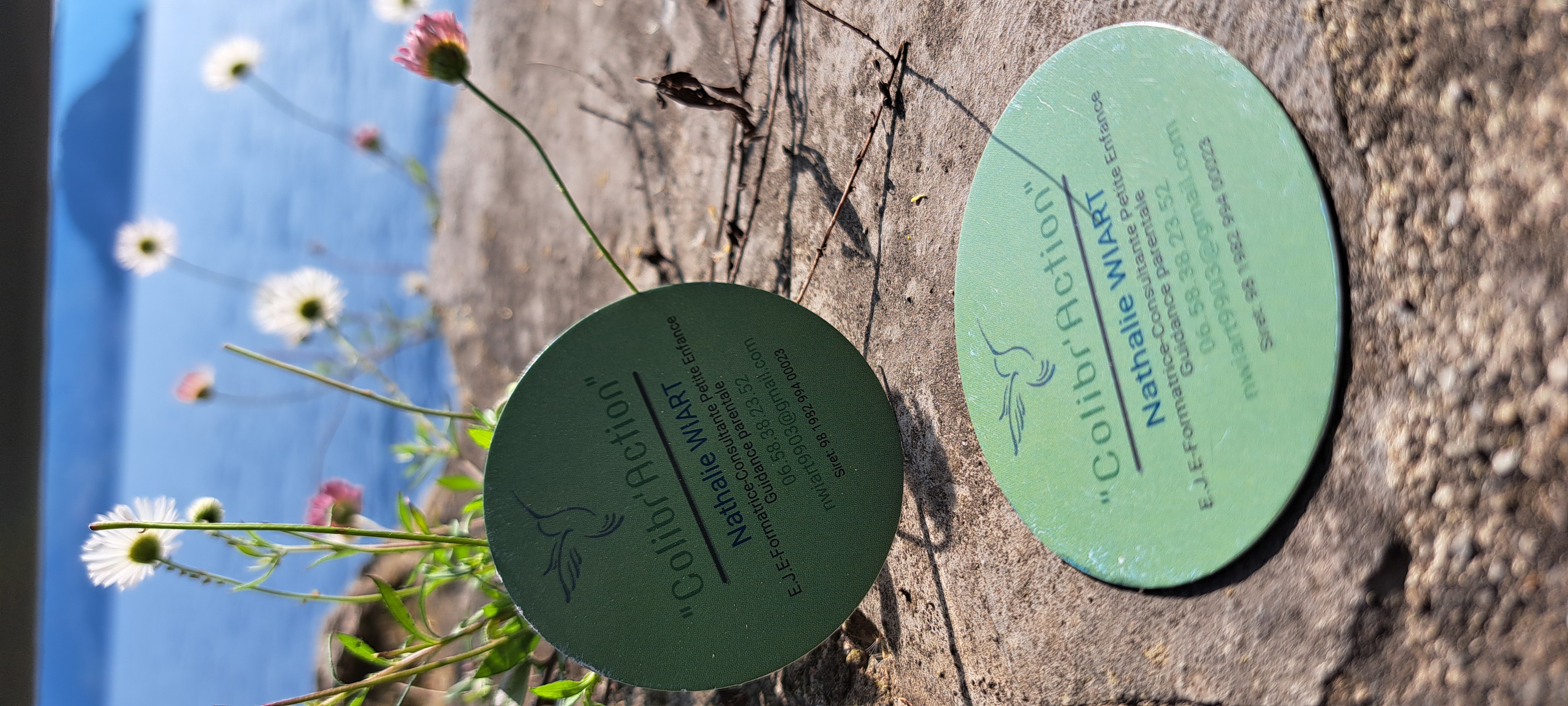 20250502_172212.jpg