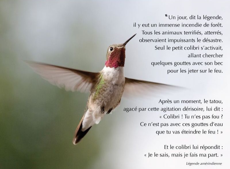 legende-colibri.jpg